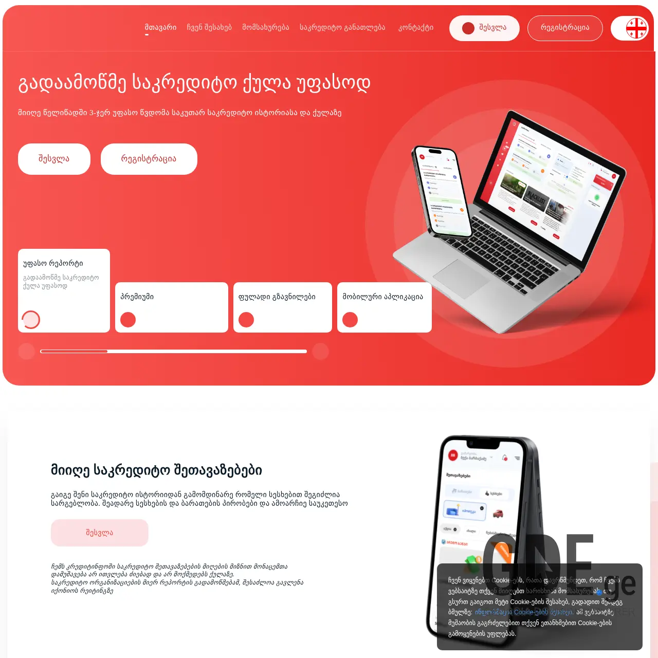 Screenshot of the site mycreditinfo.ge at 2026-03-02