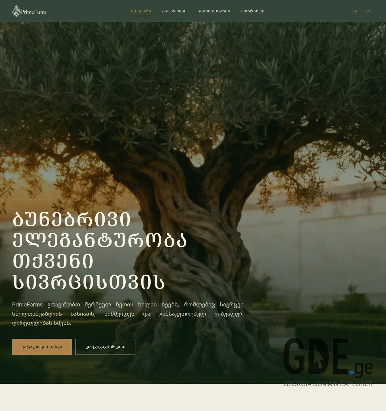 Screenshot of the site mydraft.ge at 2026-06-23