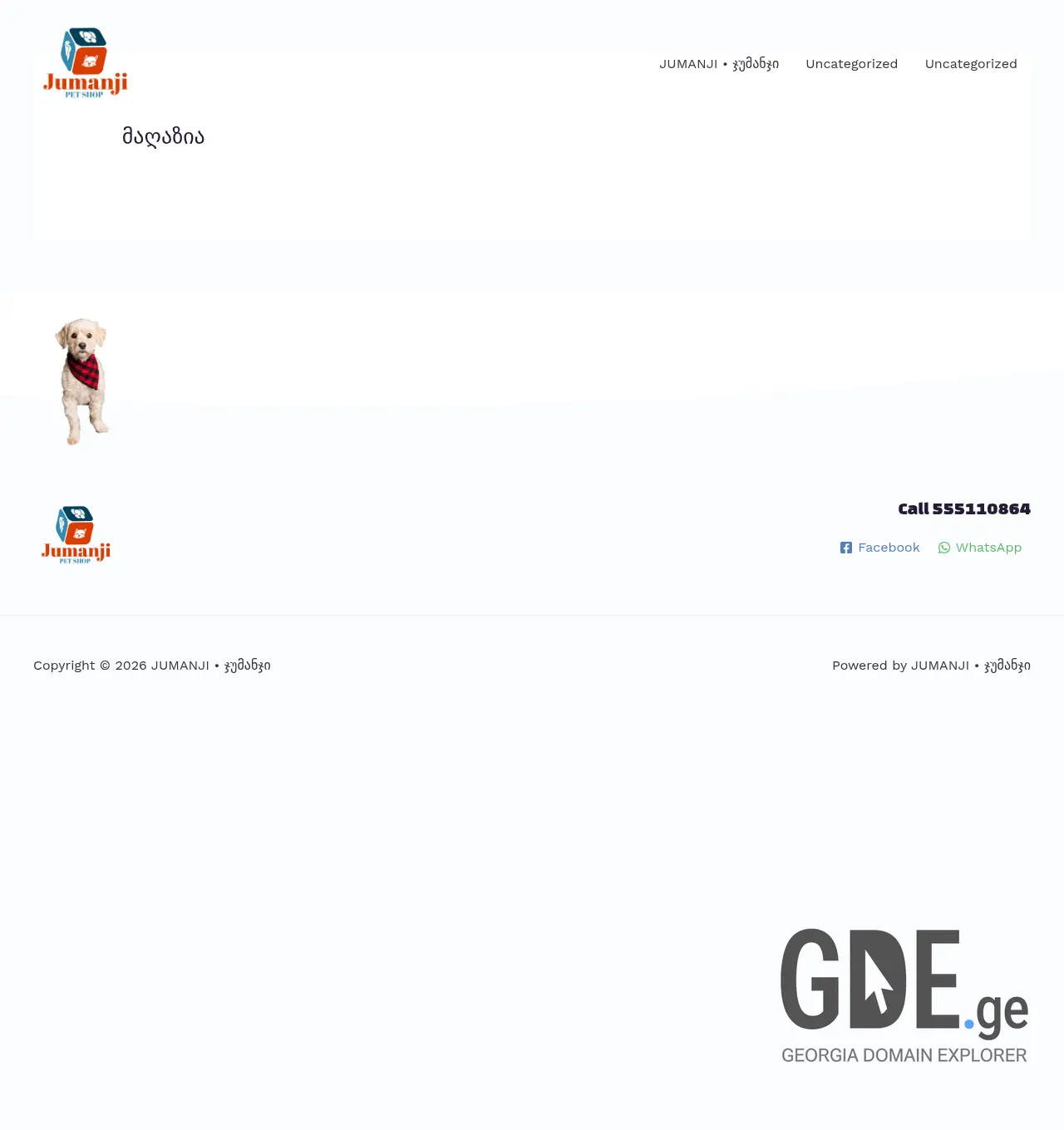 Screenshot of the site myjumanji.ge at 2026-04-22
