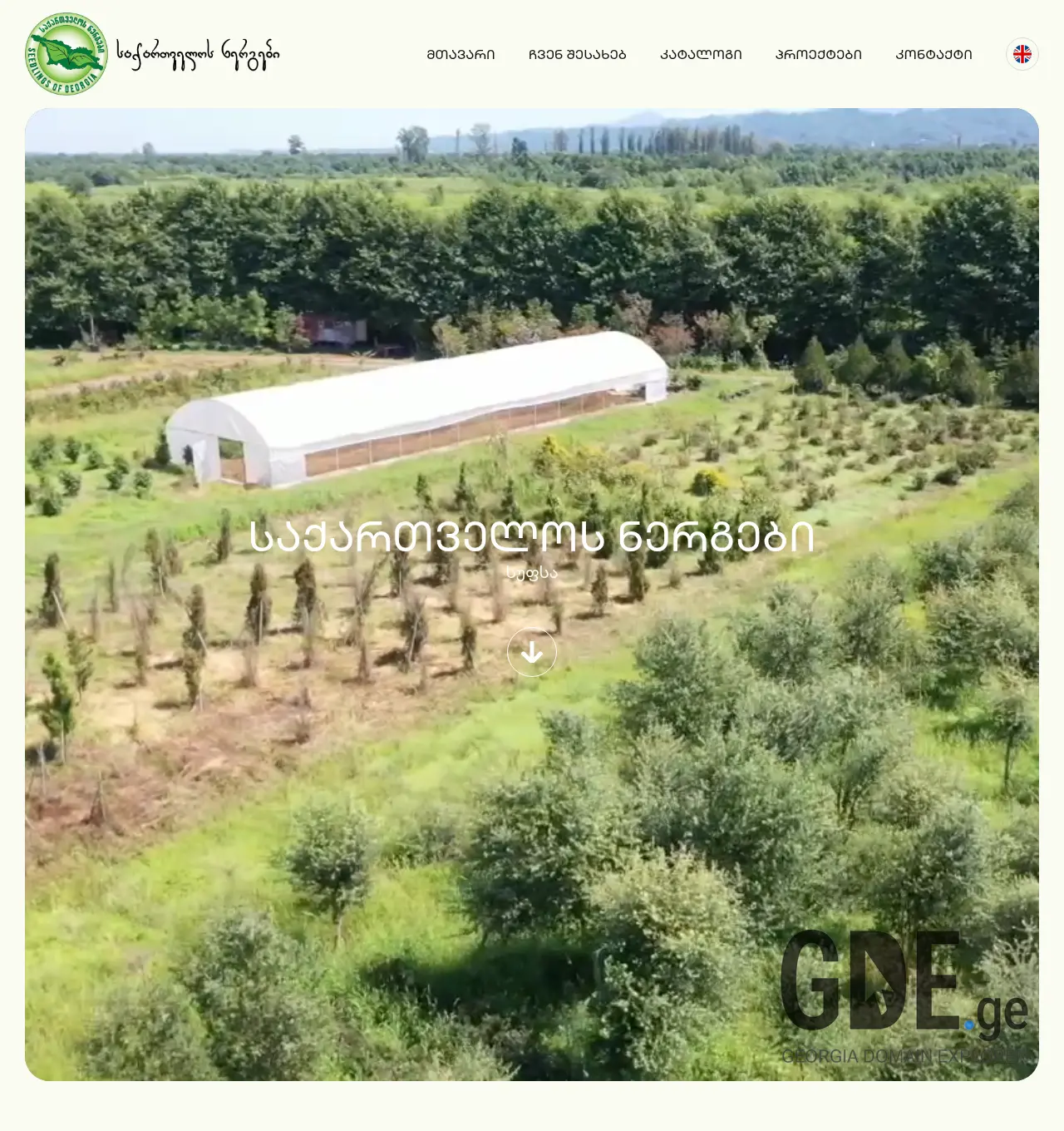 Screenshot of the site nergebi.ge at 2026-04-23