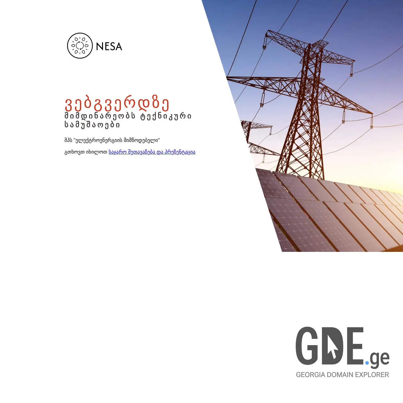 Screenshot of the site nesa.ge at 2026-03-28