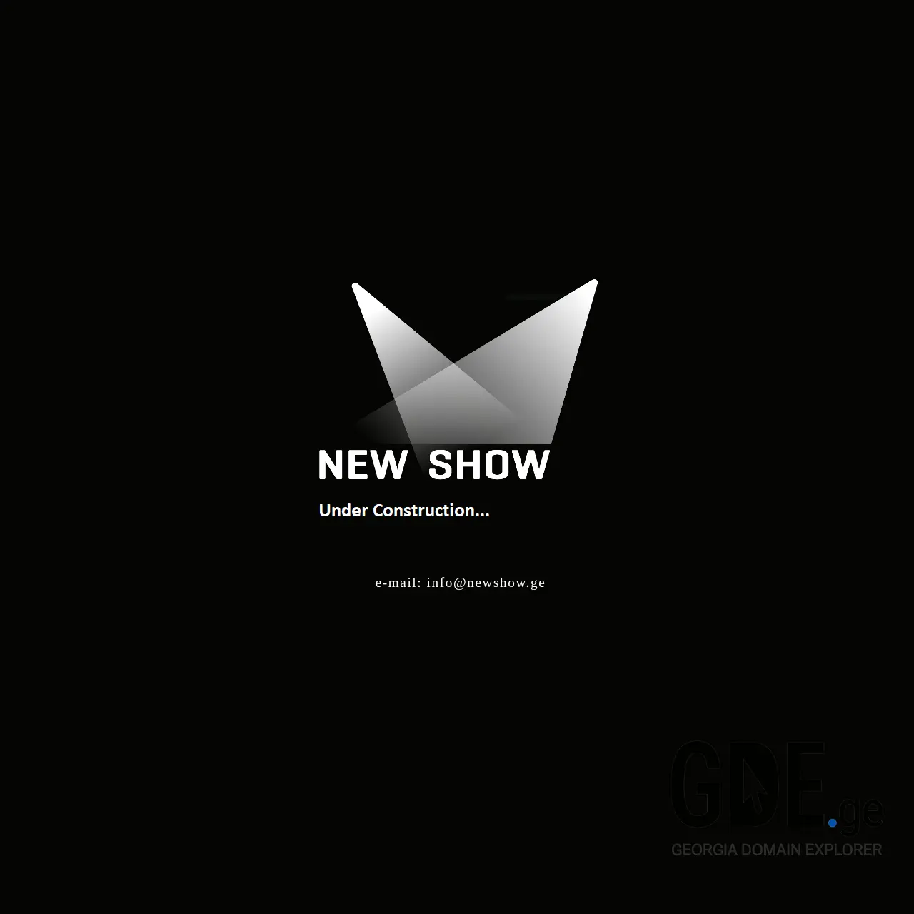 Screenshot of the site newshow.ge at 2026-03-28
