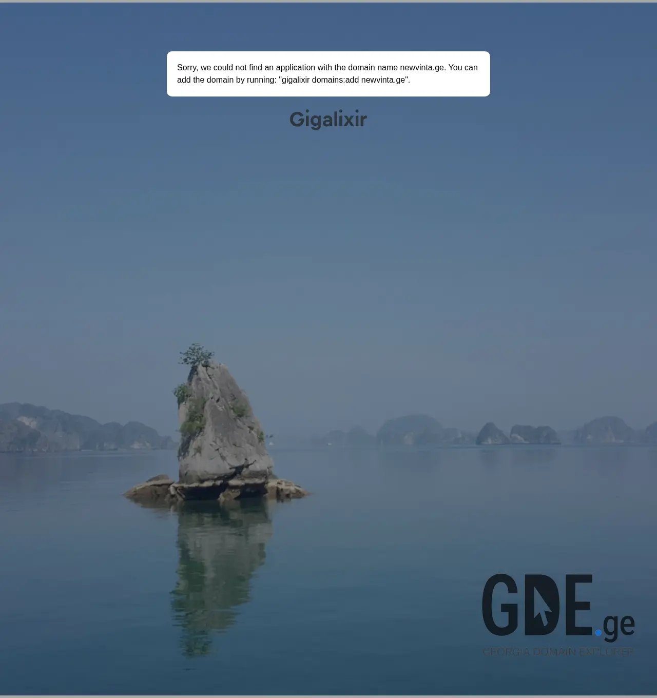 Screenshot of the site newvinta.ge at 2026-06-01