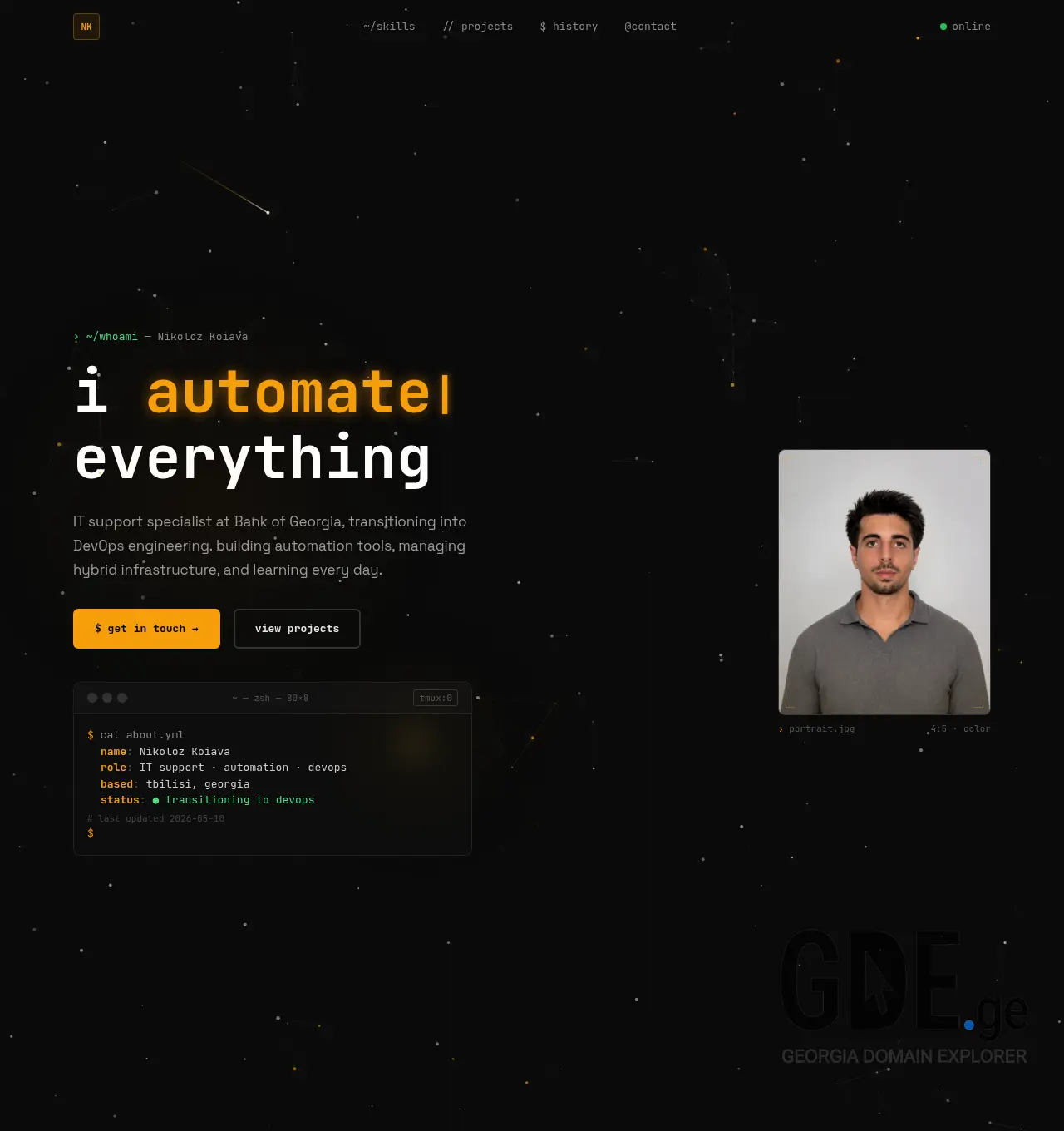 Screenshot of the site nikolozkoiava.ge at 2026-05-17