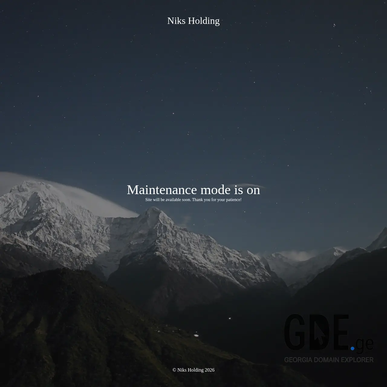 Screenshot of the site niksholding.ge at 2026-03-28