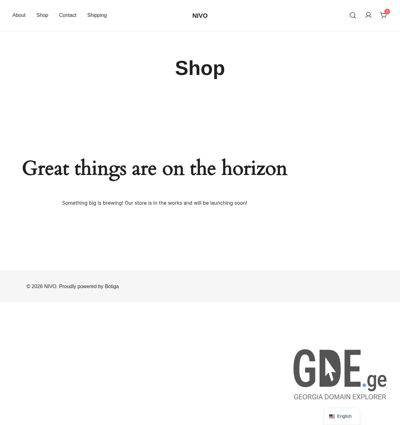 Screenshot of the site nivo.ge at 2026-05-03