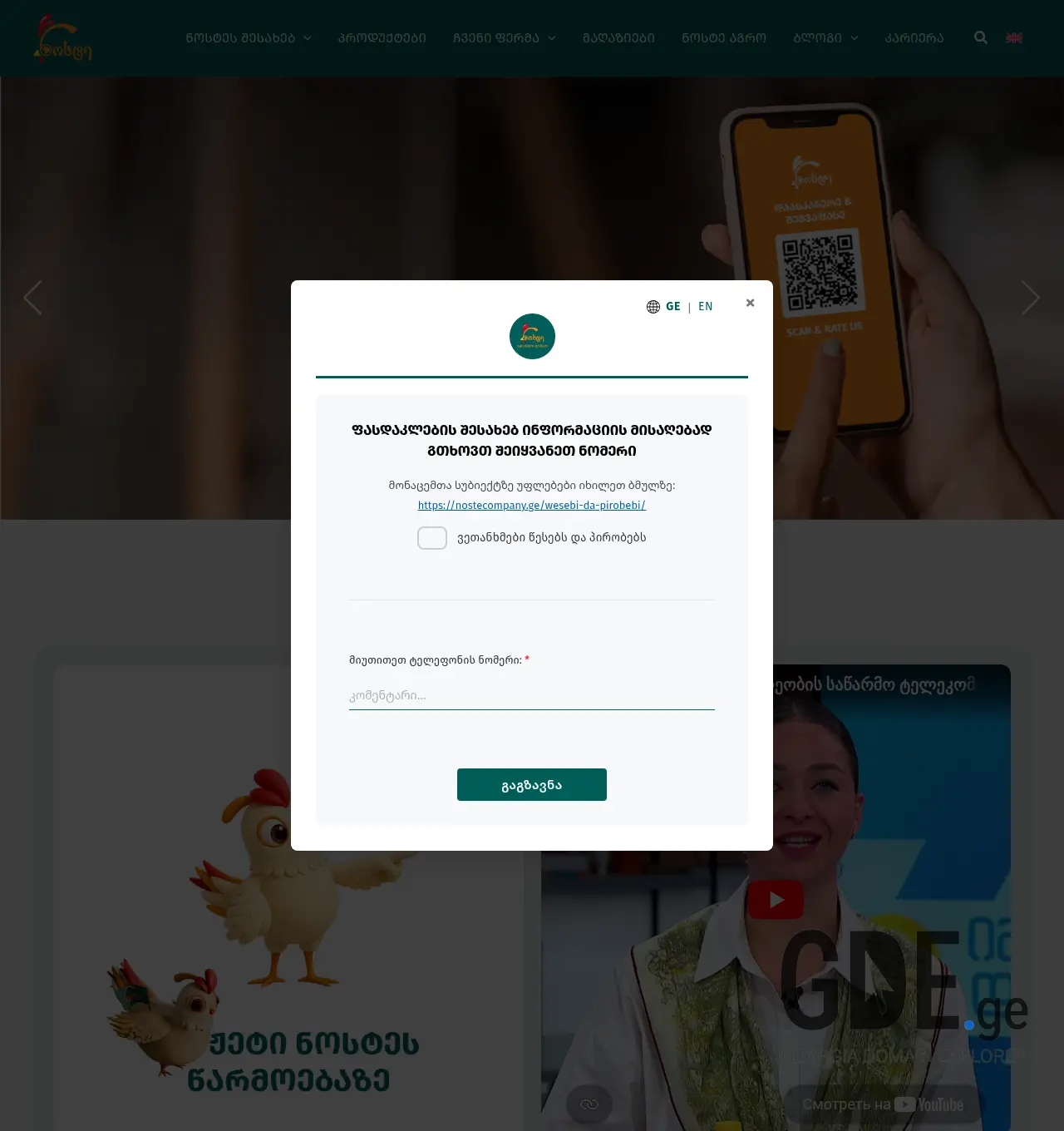 Screenshot of the site nostecompany.ge at 2026-06-19