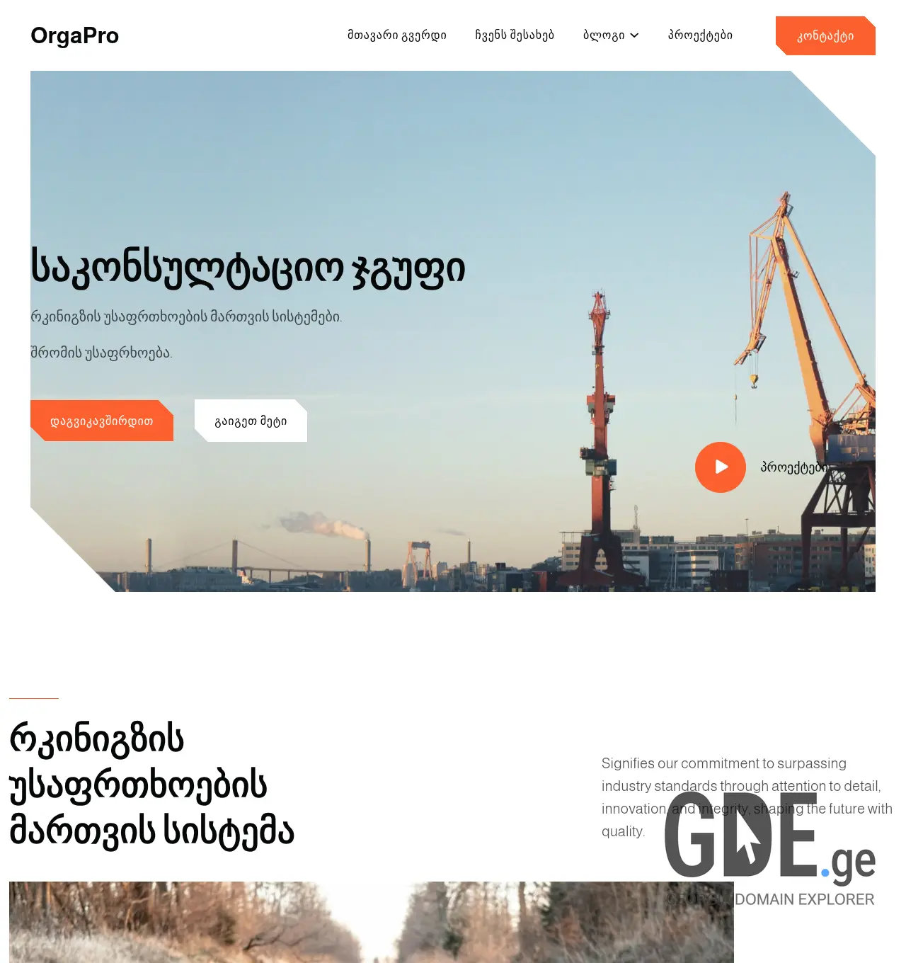 Screenshot of the site orgapro.ge at 2026-06-04