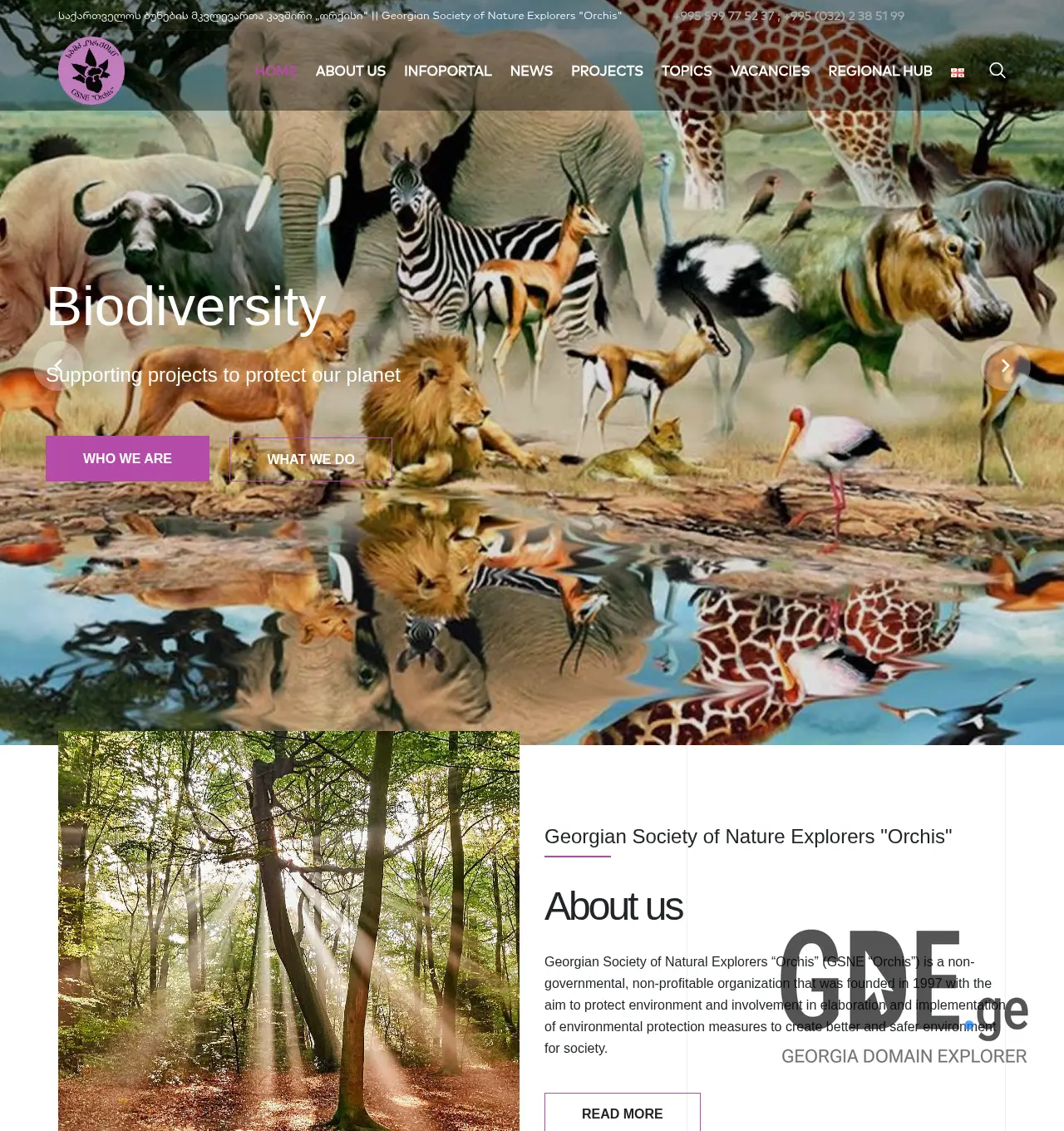 Screenshot of the site orkisi.ge at 2026-04-30