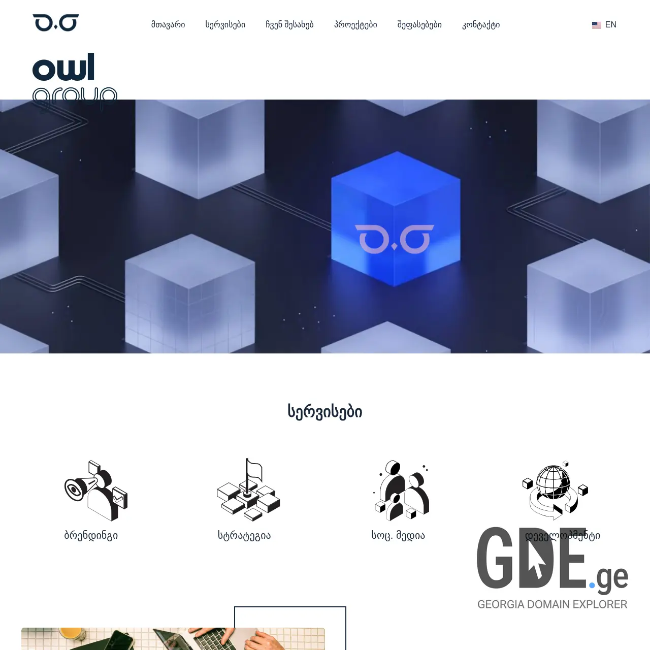 Screenshot of the site owlgroup.ge at 2026-03-02