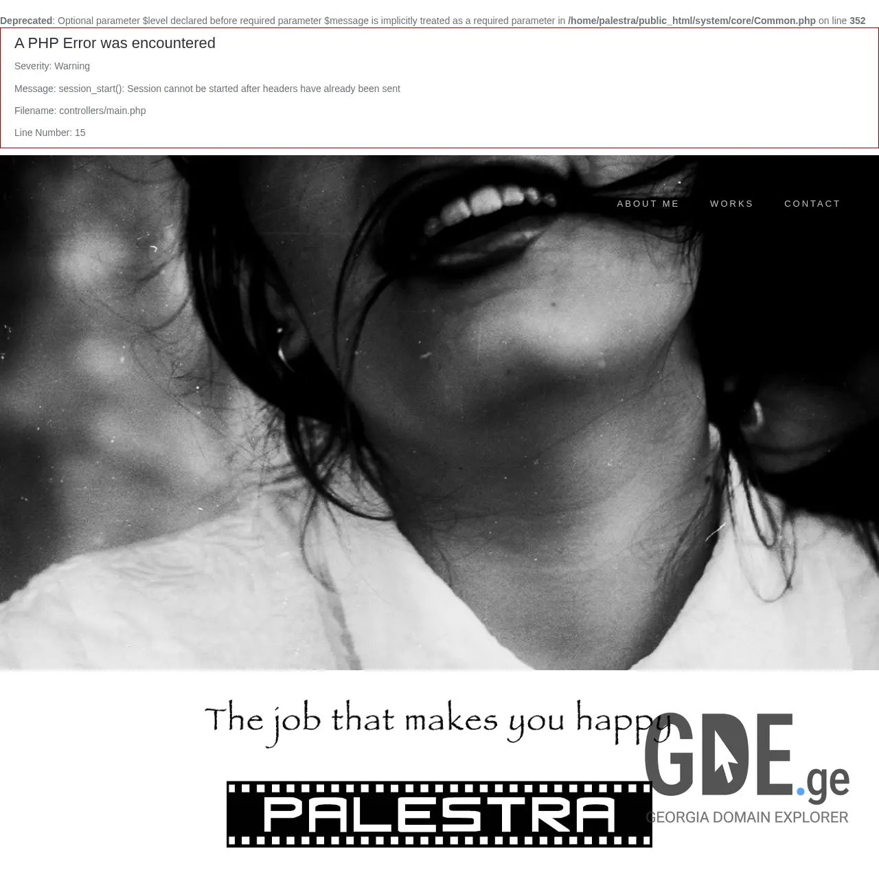 Screenshot of the site palestra.ge at 2026-03-01