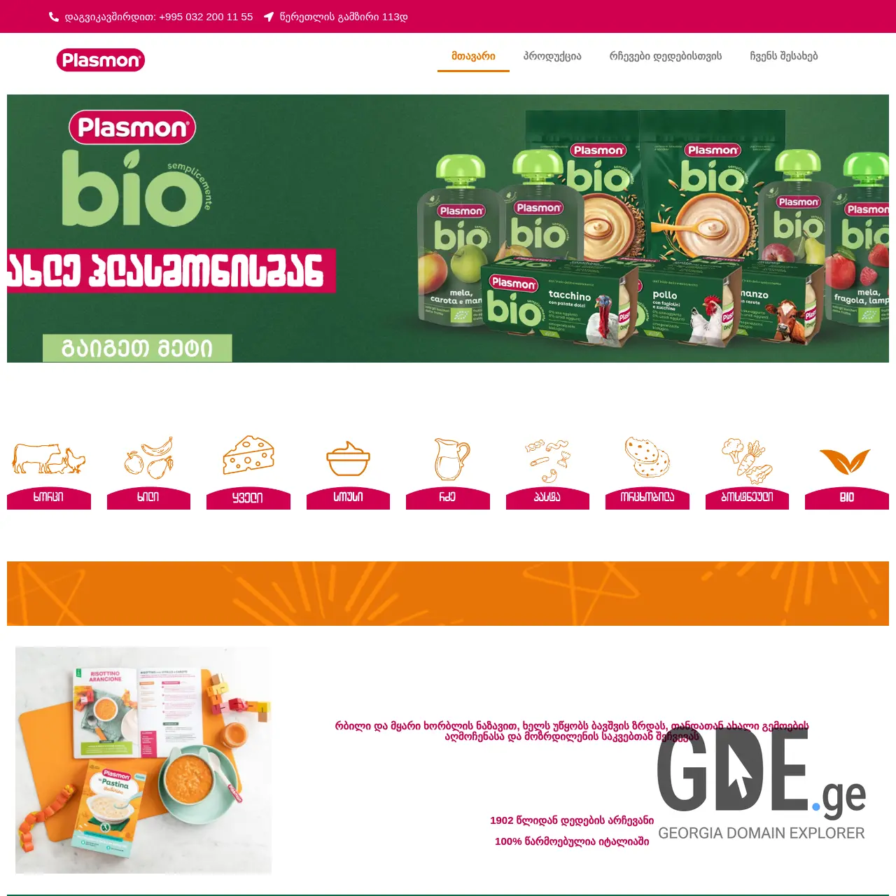Screenshot of the site plasmon.ge at 2026-03-28