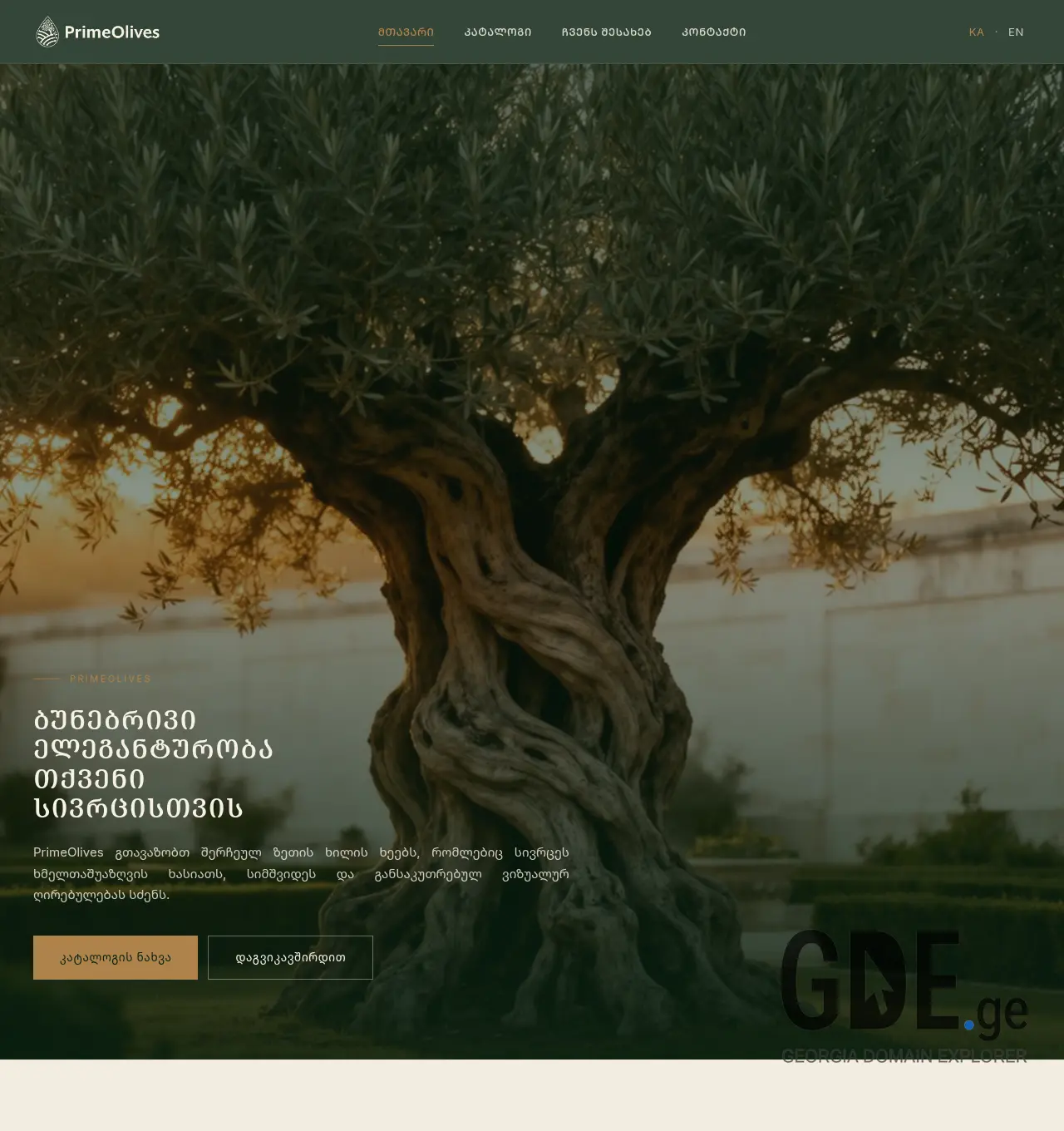 Screenshot of the site primeolives.ge at 2026-06-24