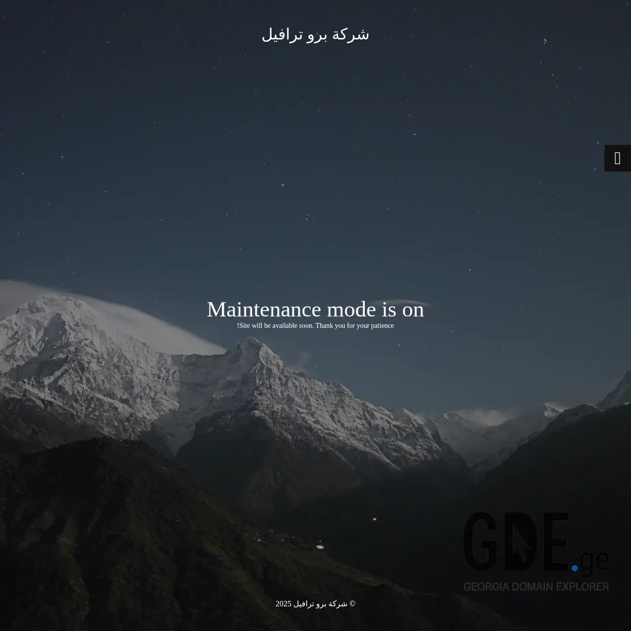Screenshot of the site protravel.ge at 2026-03-27