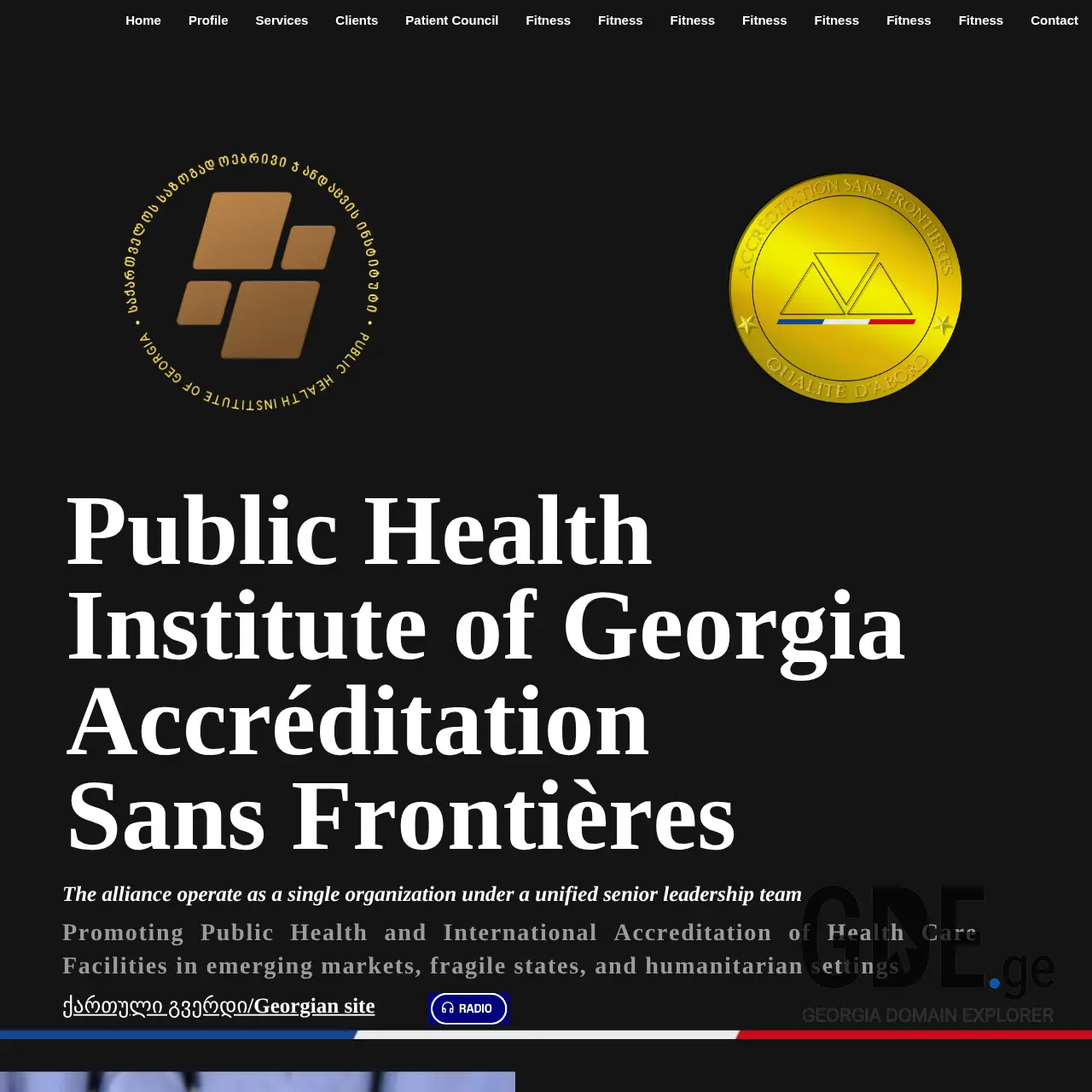 Screenshot of the site publichealth.ge at 2026-03-28