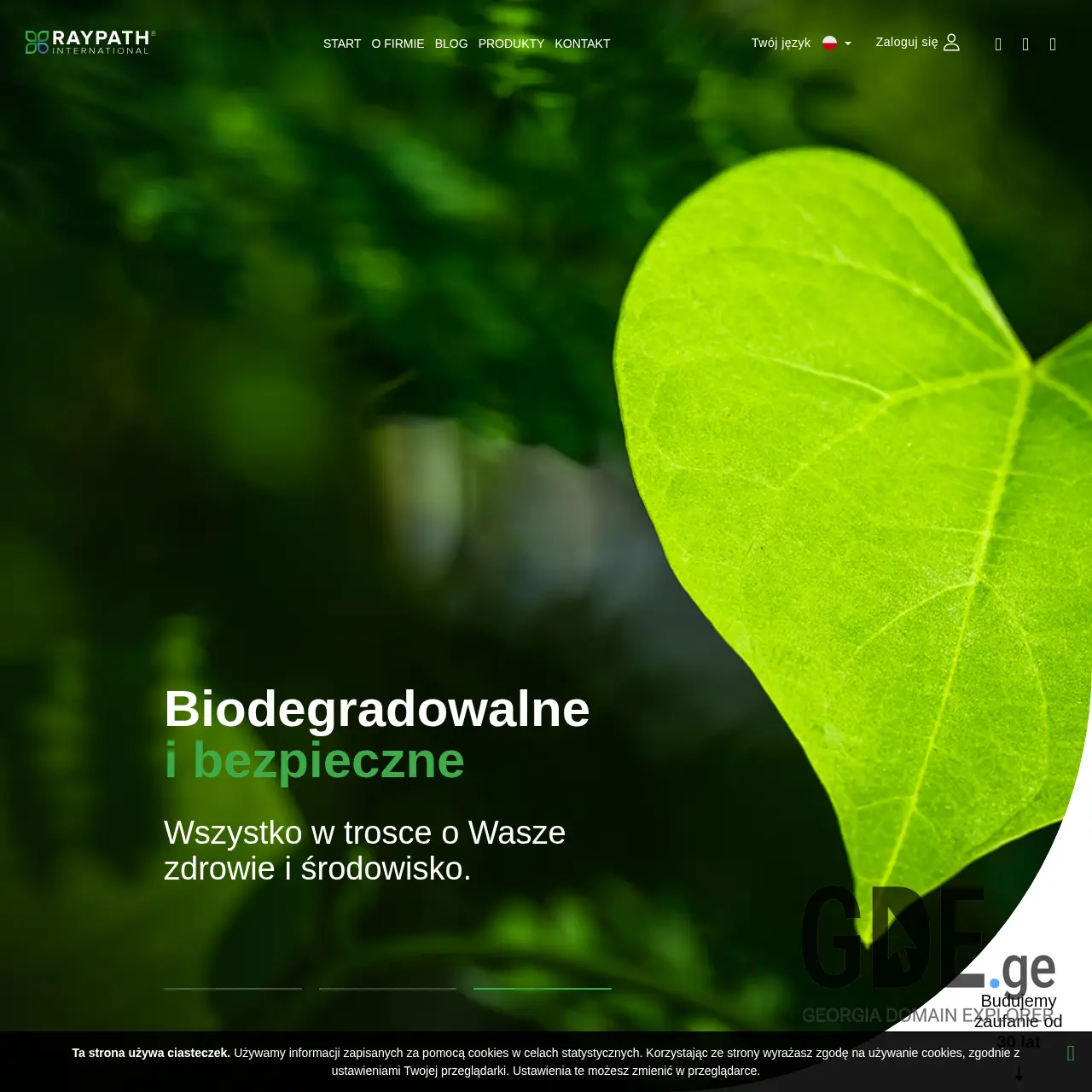 Screenshot of the site raypath.ge at 2026-03-27