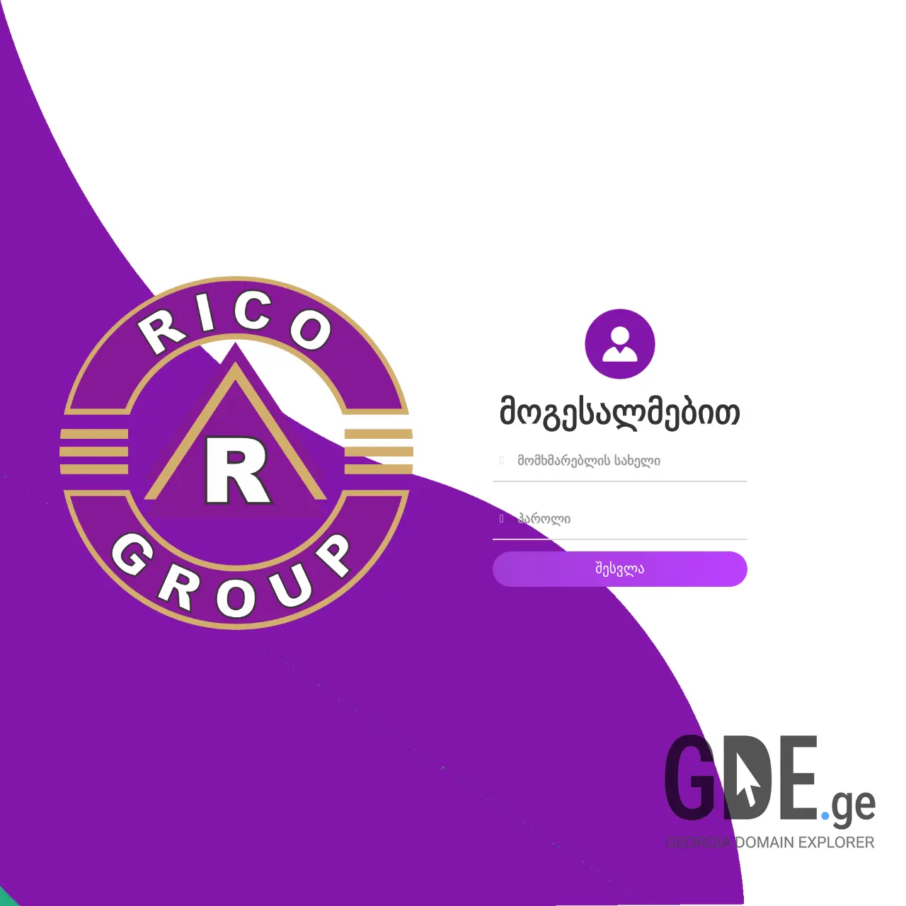 Screenshot of the site ricofxapi.ge at 2026-03-26