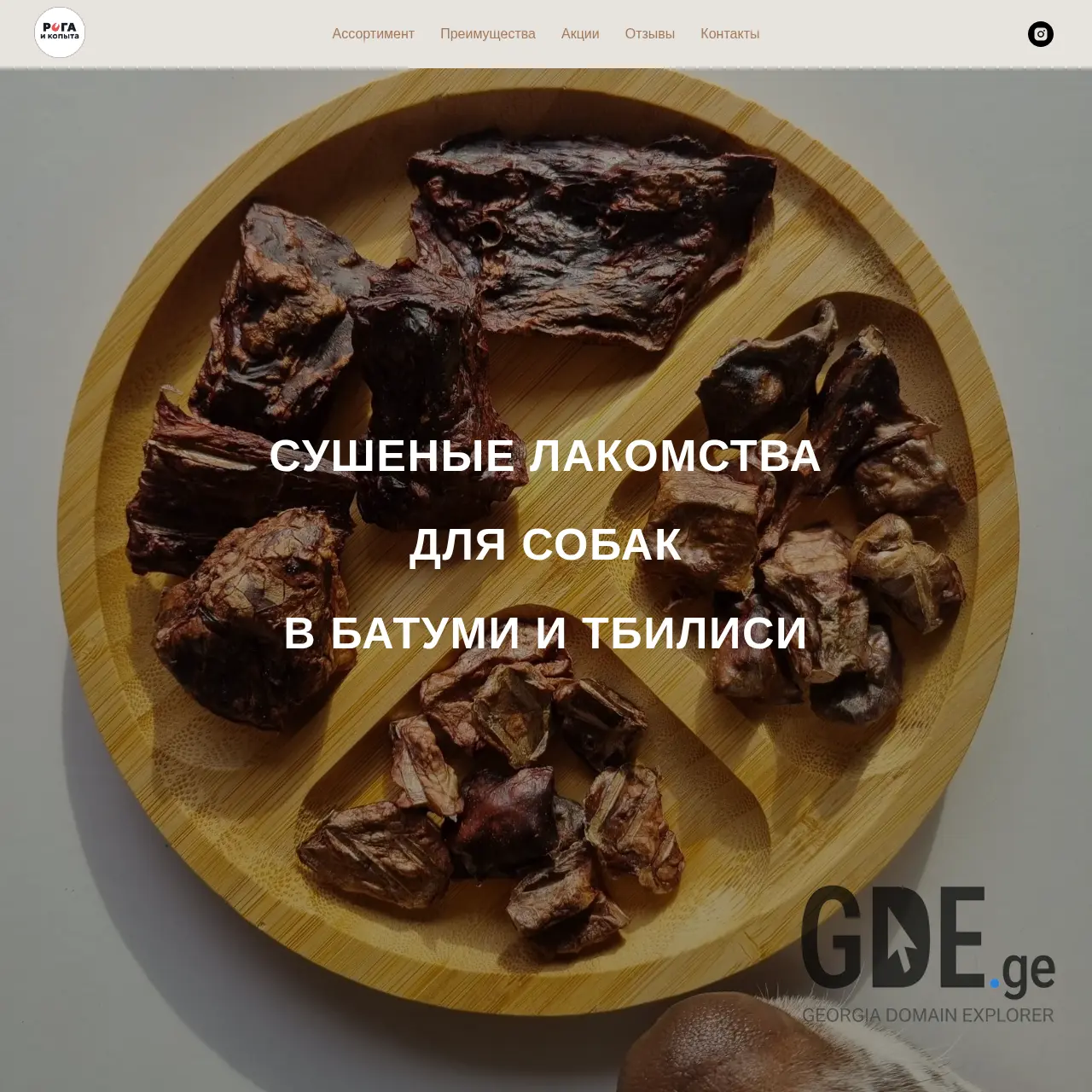 Screenshot of the site roga.ge at 2026-03-26