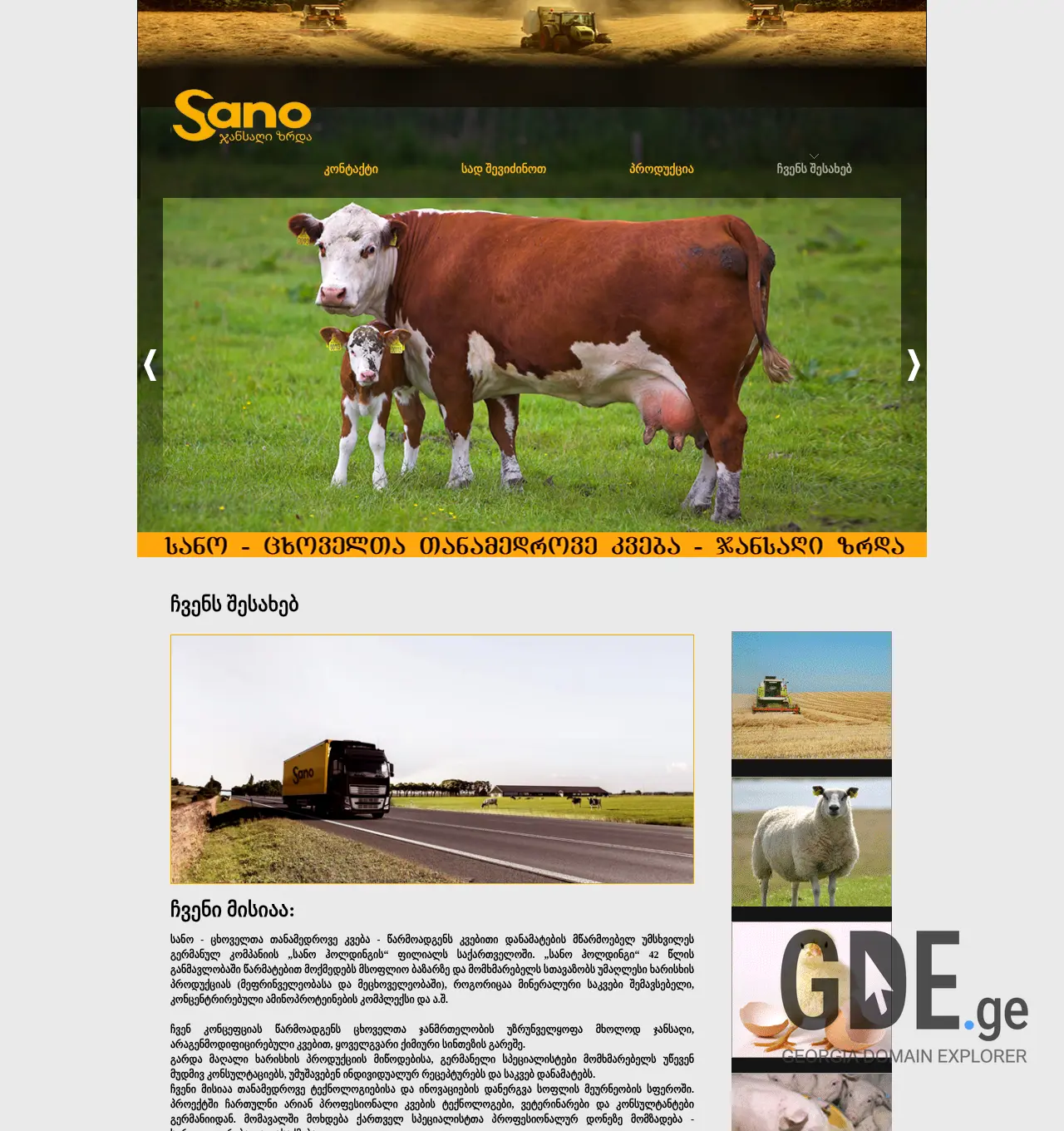 Screenshot of the site sano-international.ge at 2026-07-26