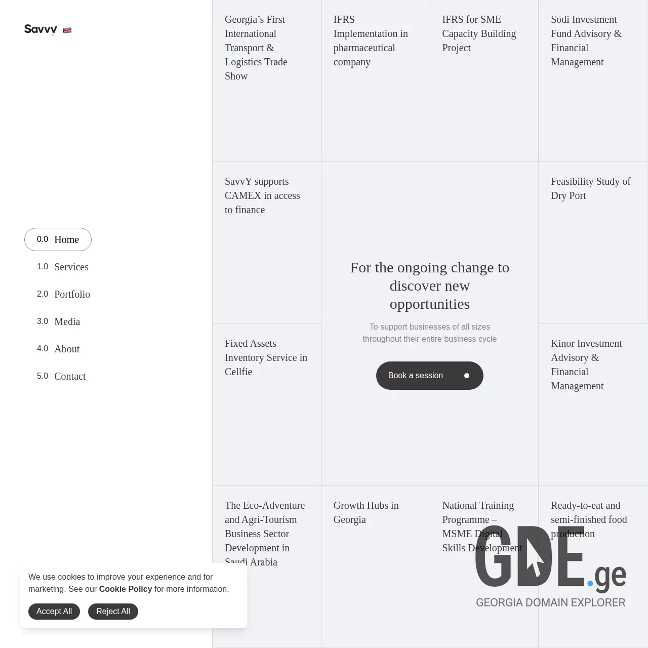 Screenshot of the site savvy.ge at 2026-03-25