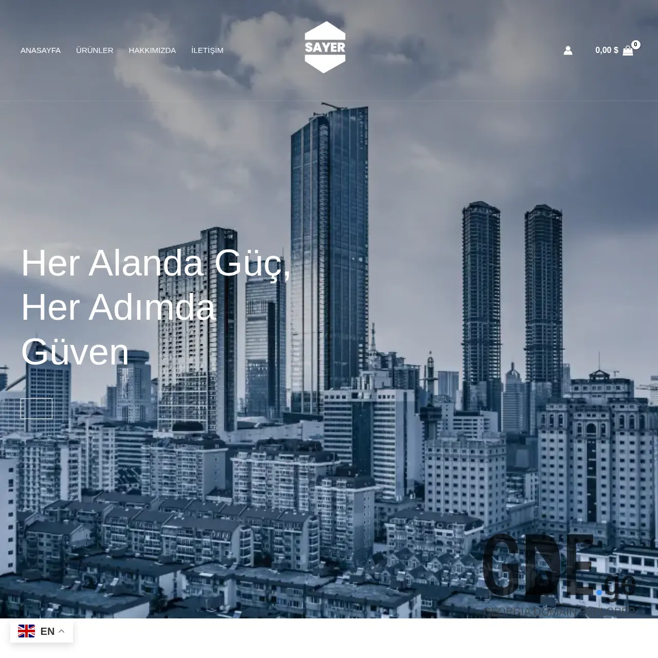 Screenshot of the site sayerltd.ge at 2026-03-17