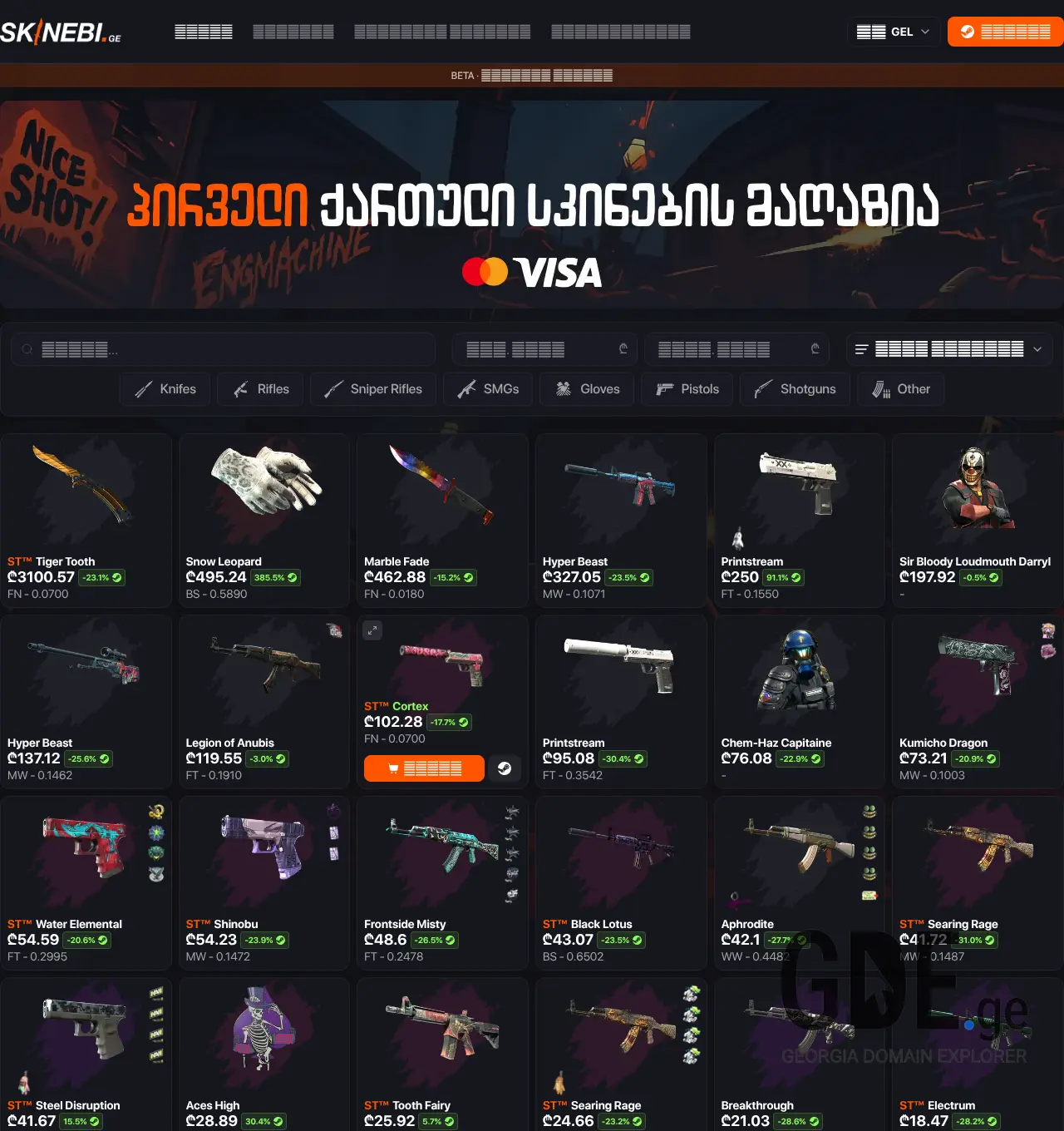 Screenshot of the site skinebi.ge at 2026-05-14