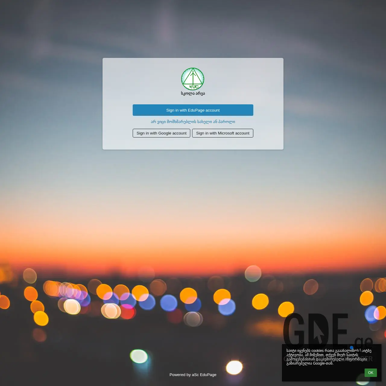 Screenshot of the site skolaarea.edu.ge at 2026-03-02