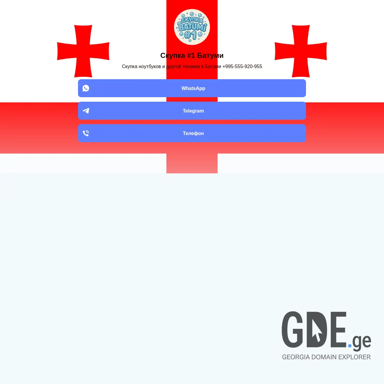 Screenshot of the site skupka.ge at 2026-03-27
