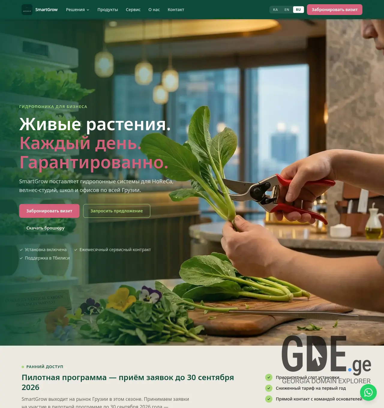Screenshot of the site smartgrow.ge at 2026-06-13
