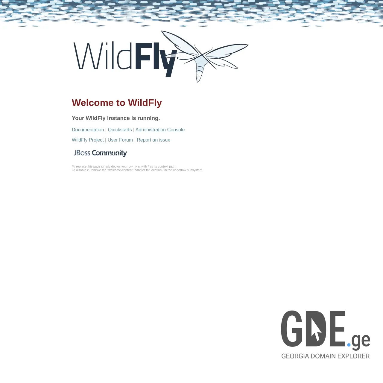 Screenshot of the site socialindeed.ge at 2026-03-26