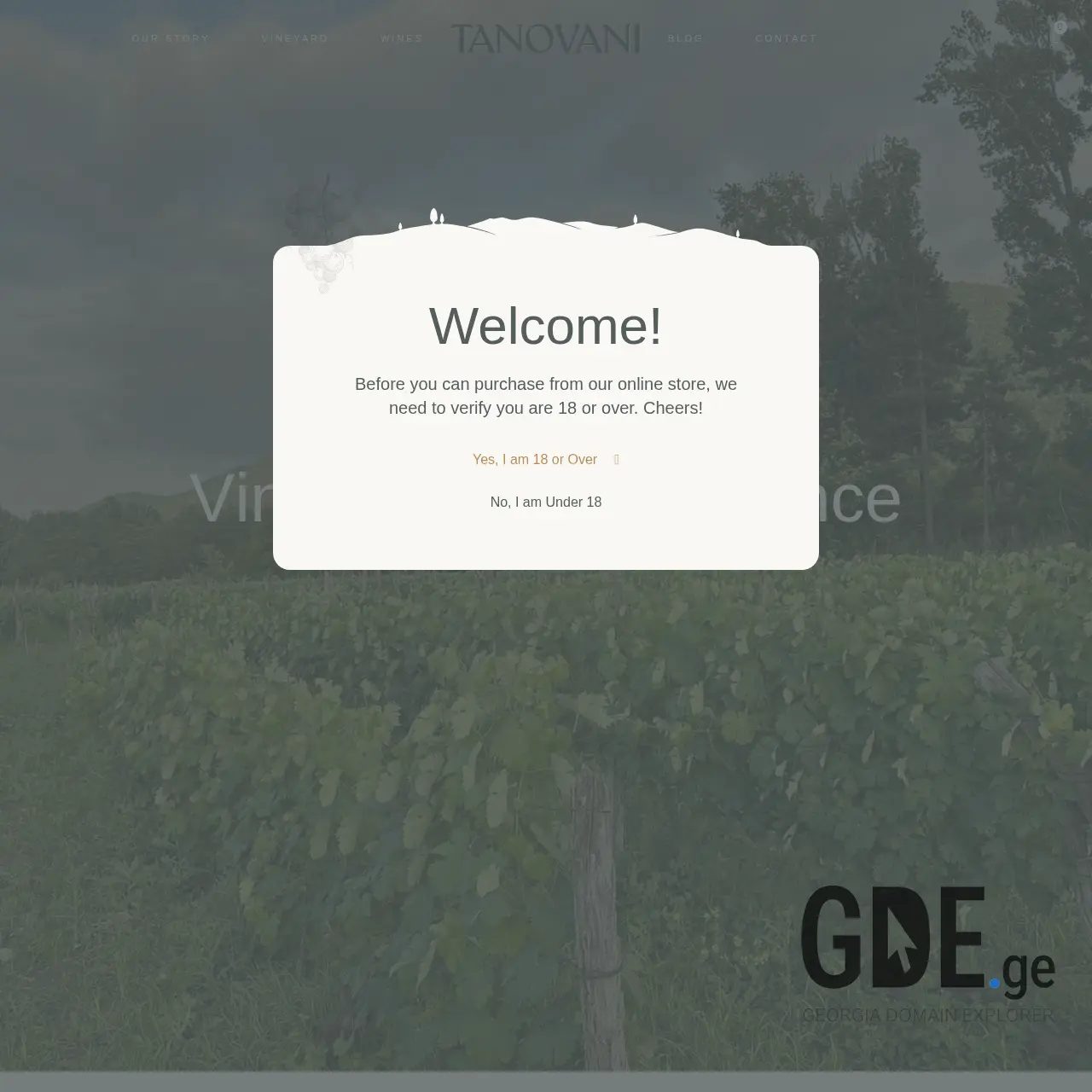 Screenshot of the site tanovani.ge at 2026-03-27