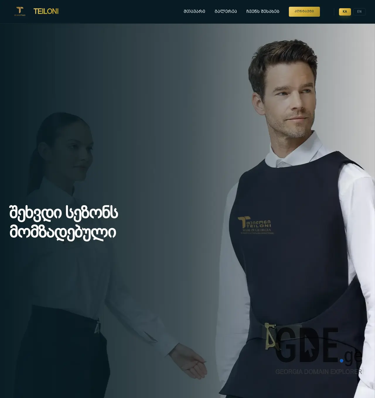 Screenshot of the site teiloni.ge at 2026-05-13