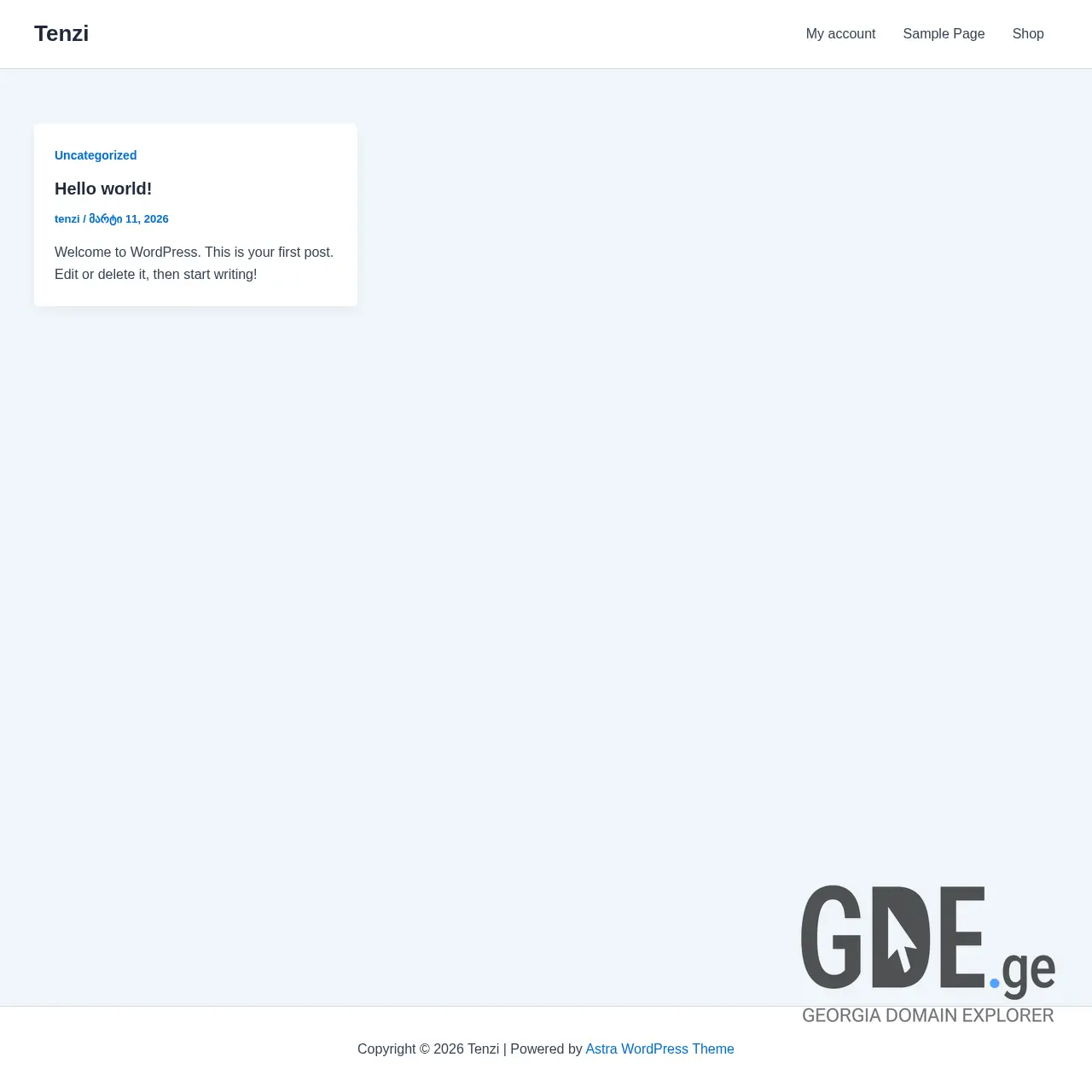 Screenshot of the site tenzi.ge at 2026-03-12