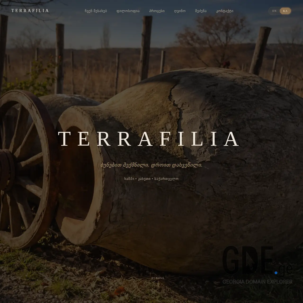 Screenshot of the site terrafilia.ge at 2026-04-01