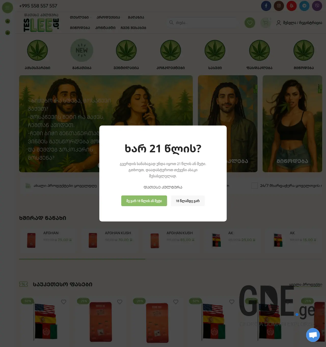Screenshot of the site teslee.ge at 2026-04-28