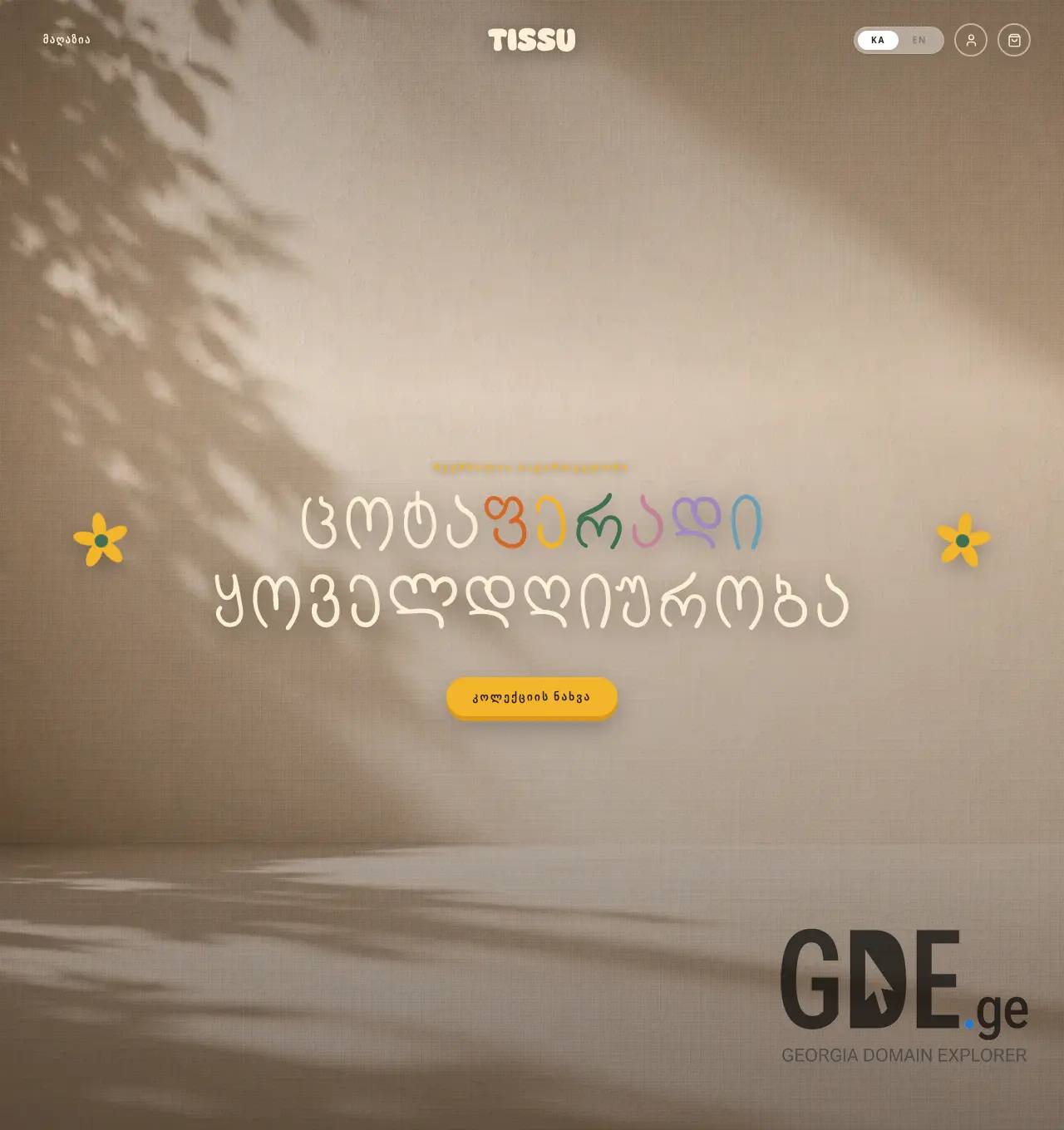 Screenshot of the site tissu.ge at 2026-06-05