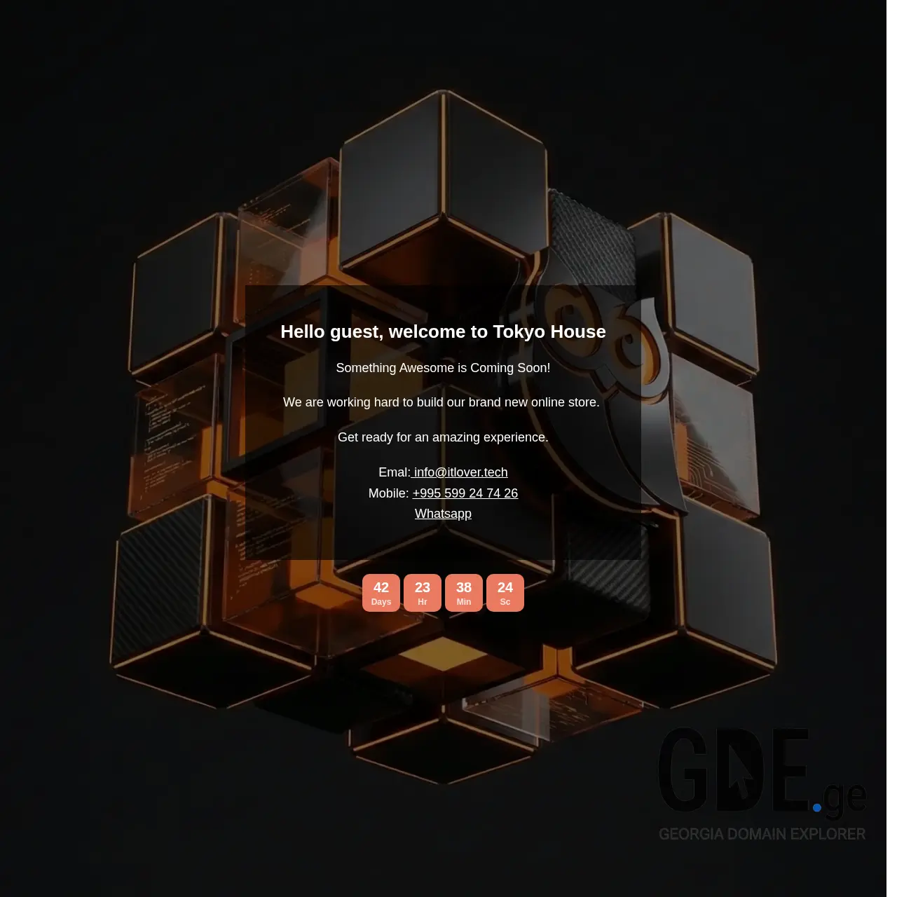 Screenshot of the site tokyohouse.ge at 2026-03-26