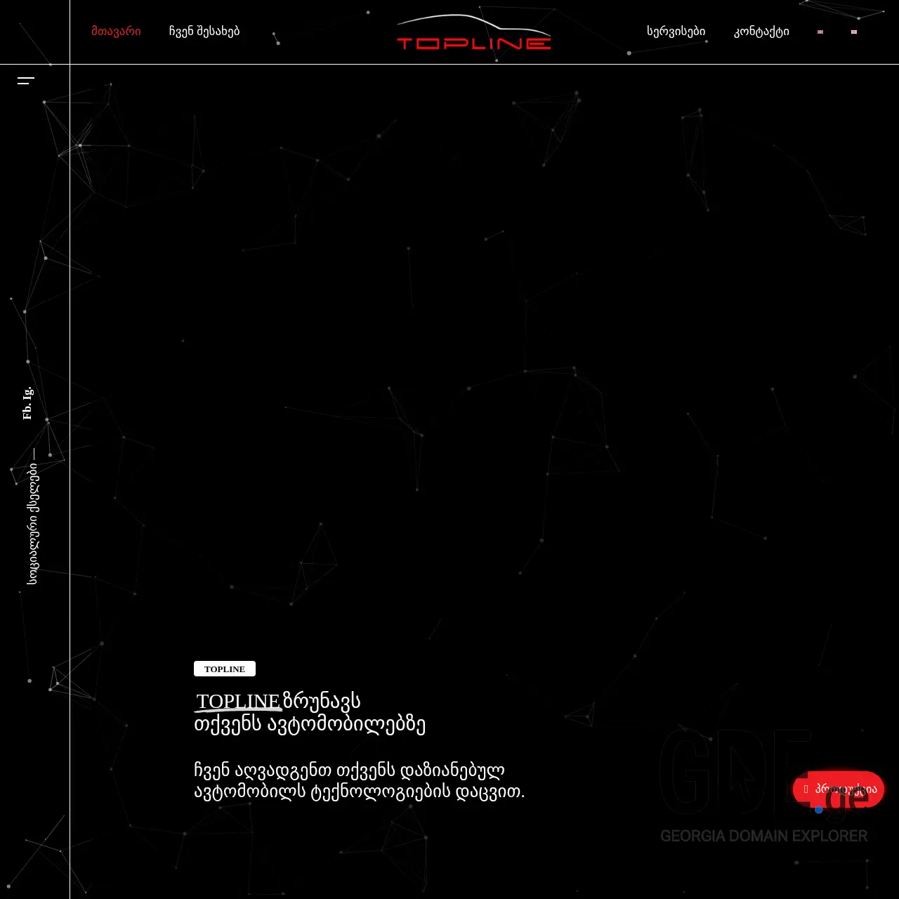 Screenshot of the site topline.ge at 2026-03-02