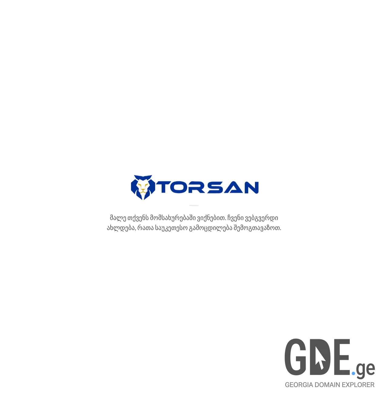 Screenshot of the site torsan.ge at 2026-05-12