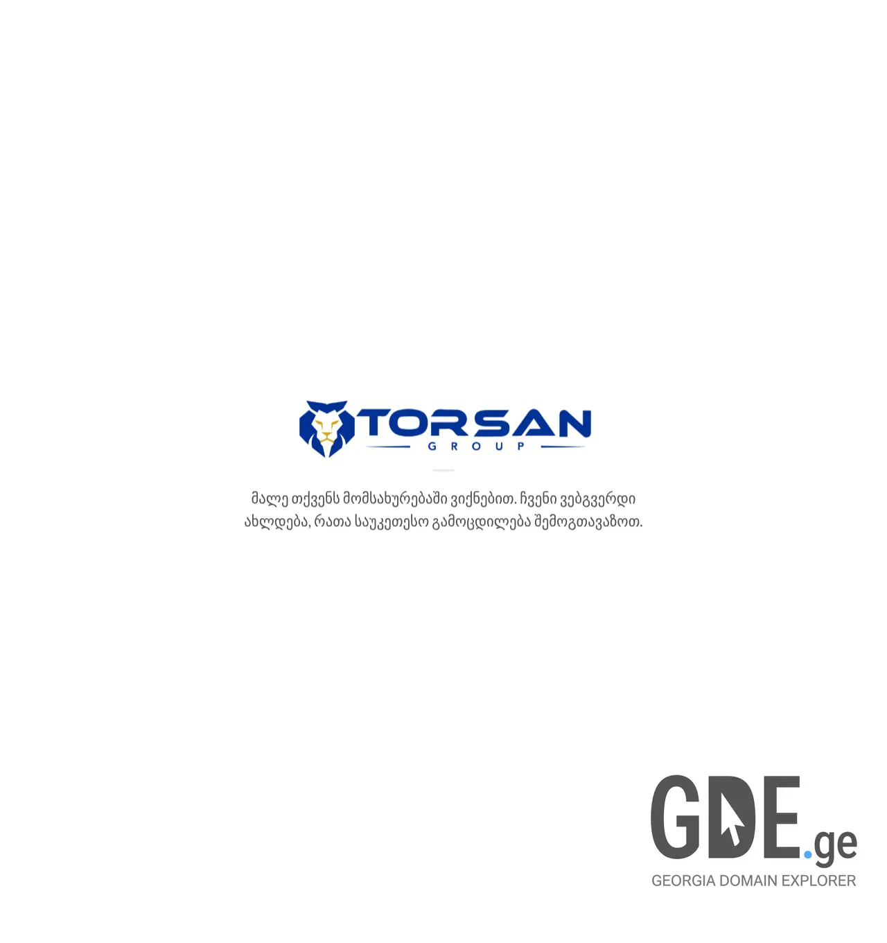 Screenshot of the site torsangroup.ge at 2026-05-14