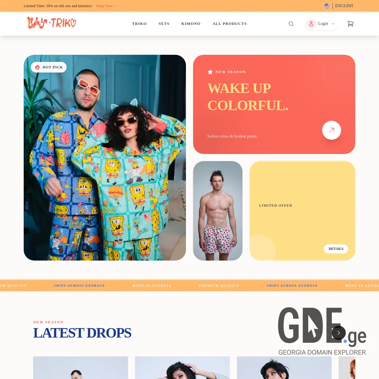 Screenshot of the site triko.ge at 2026-03-26