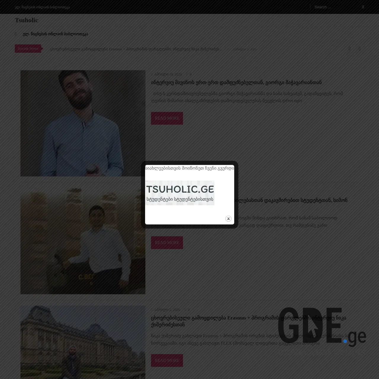 Screenshot of the site tsuholic.ge at 2026-03-02