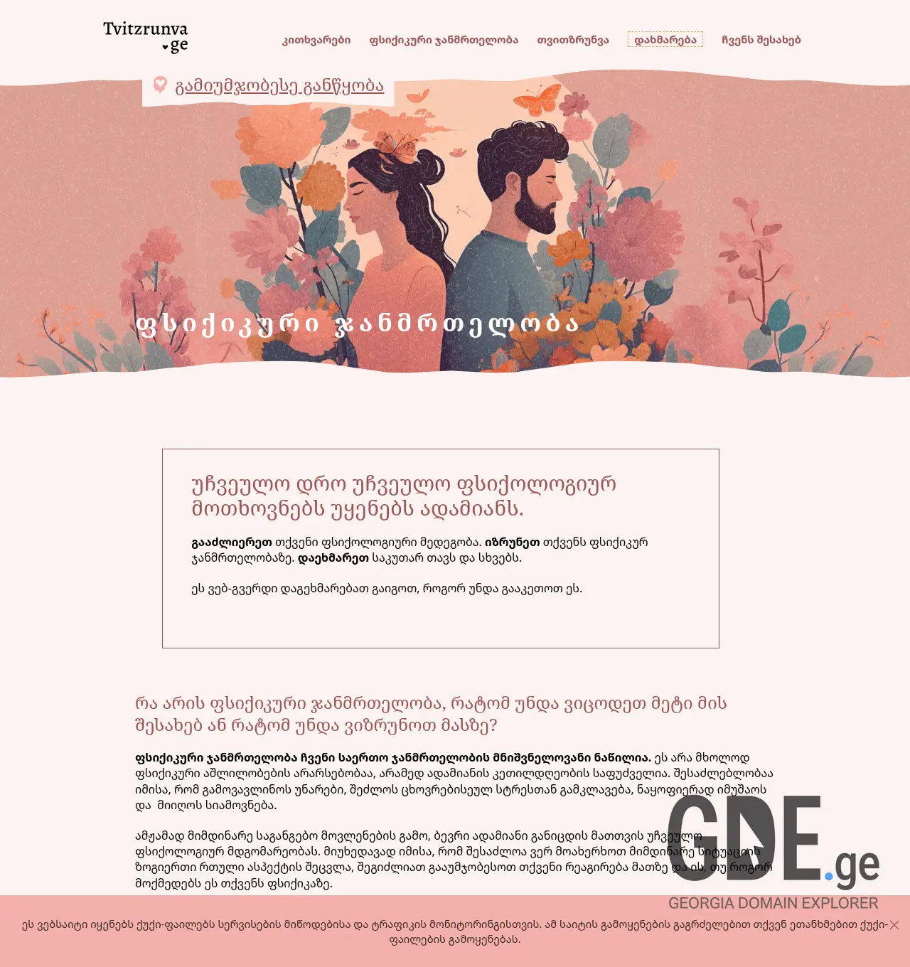 Screenshot of the site tvitzrunva.ge at 2026-04-28