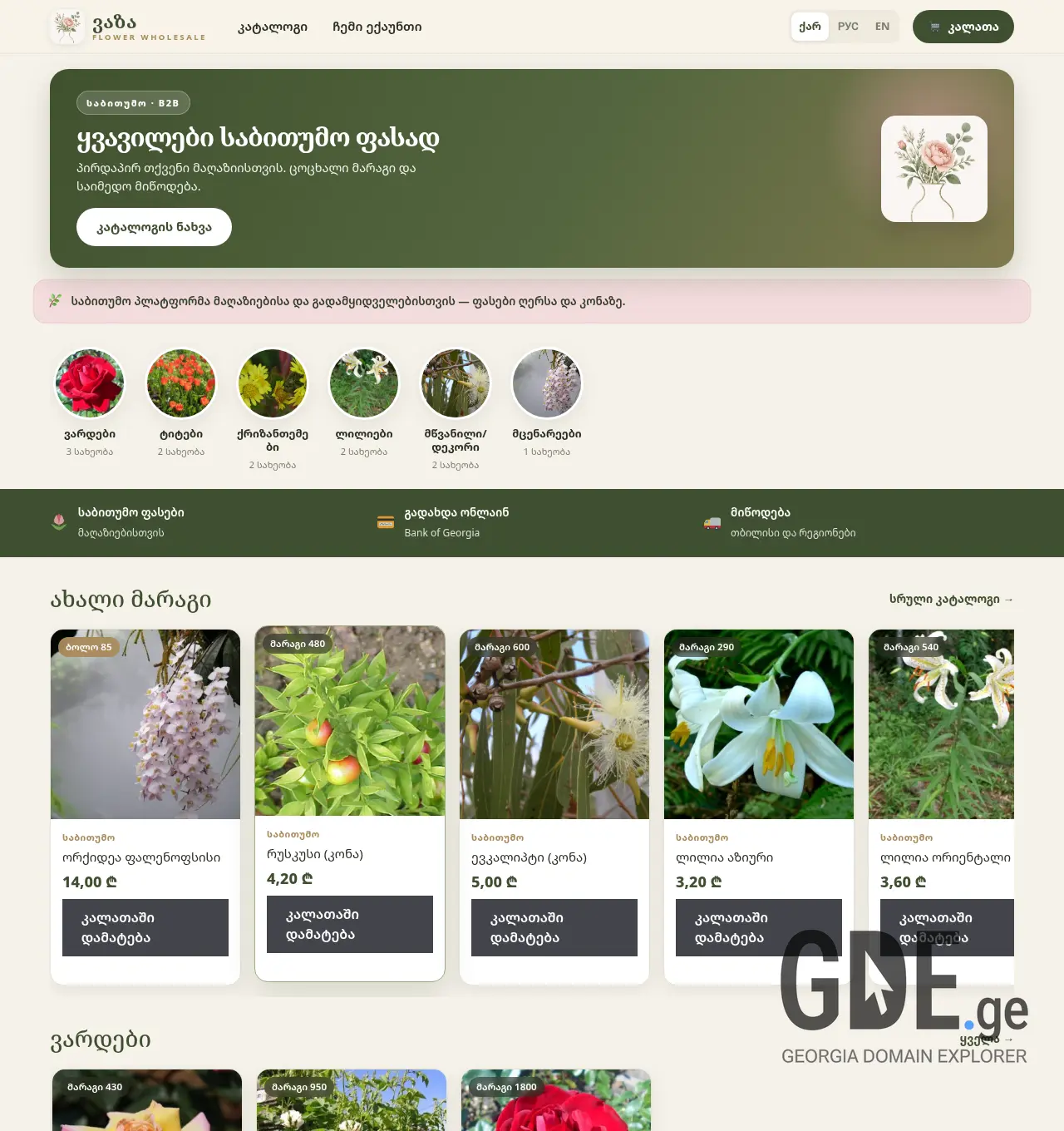 Screenshot of the site vaza.ge at 2026-06-24