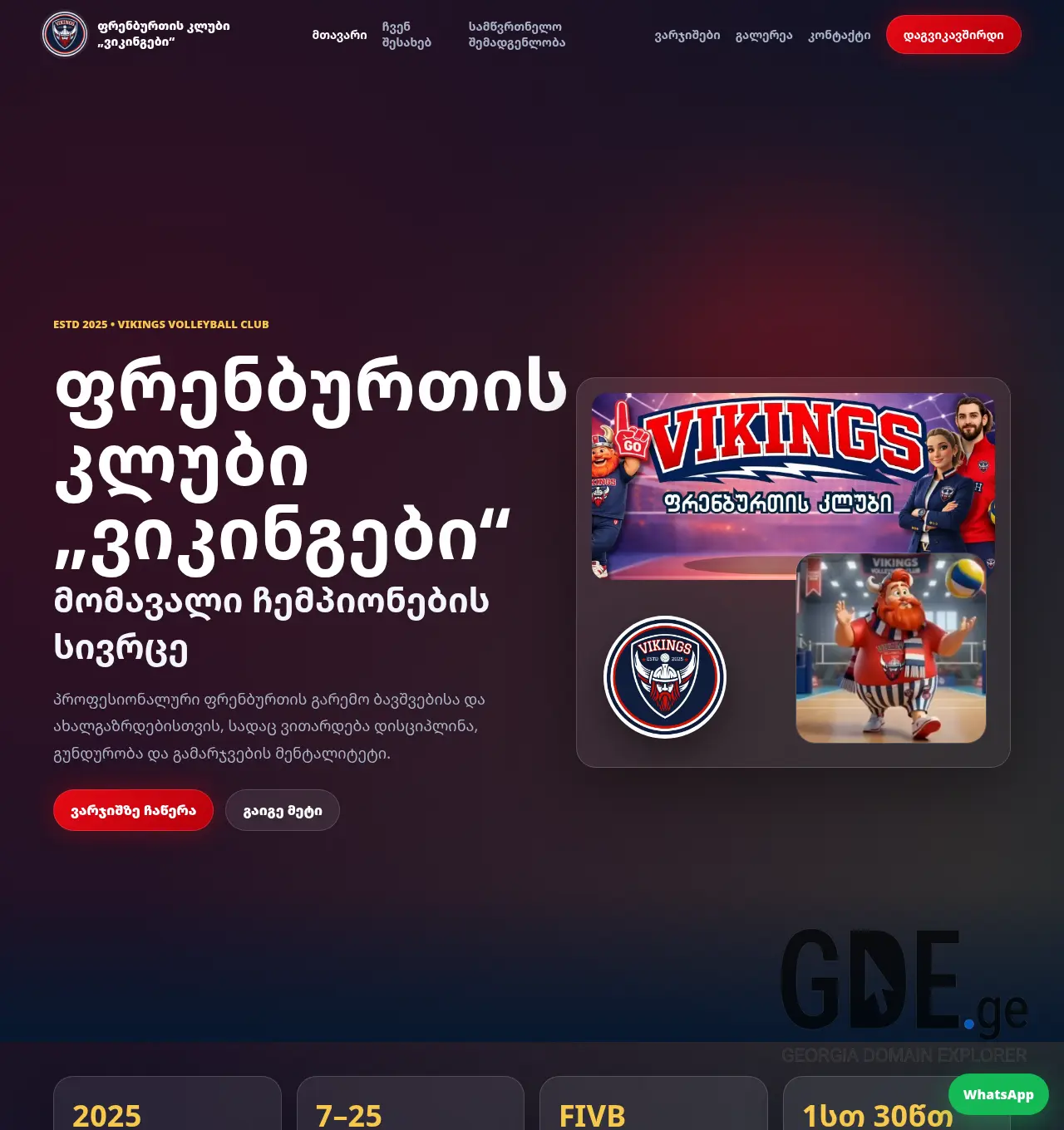 Screenshot of the site vikings.ge at 2026-05-23