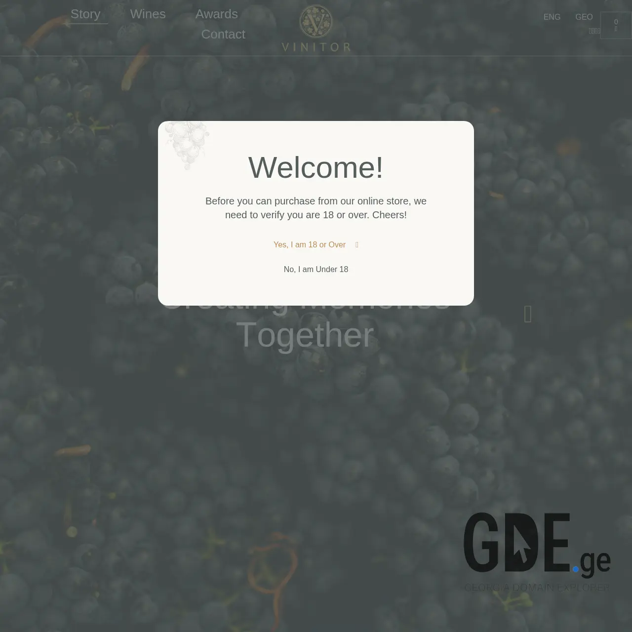 Screenshot of the site vinitor.ge at 2026-03-26