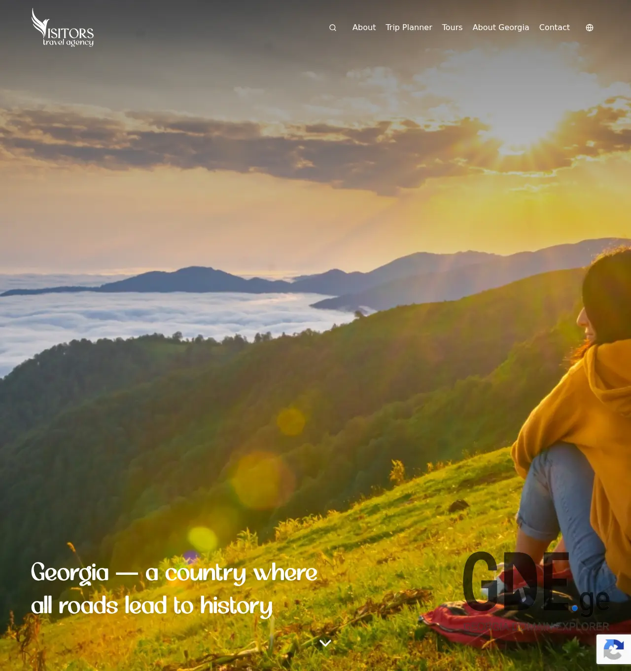Screenshot of the site visitors.ge at 2026-05-12