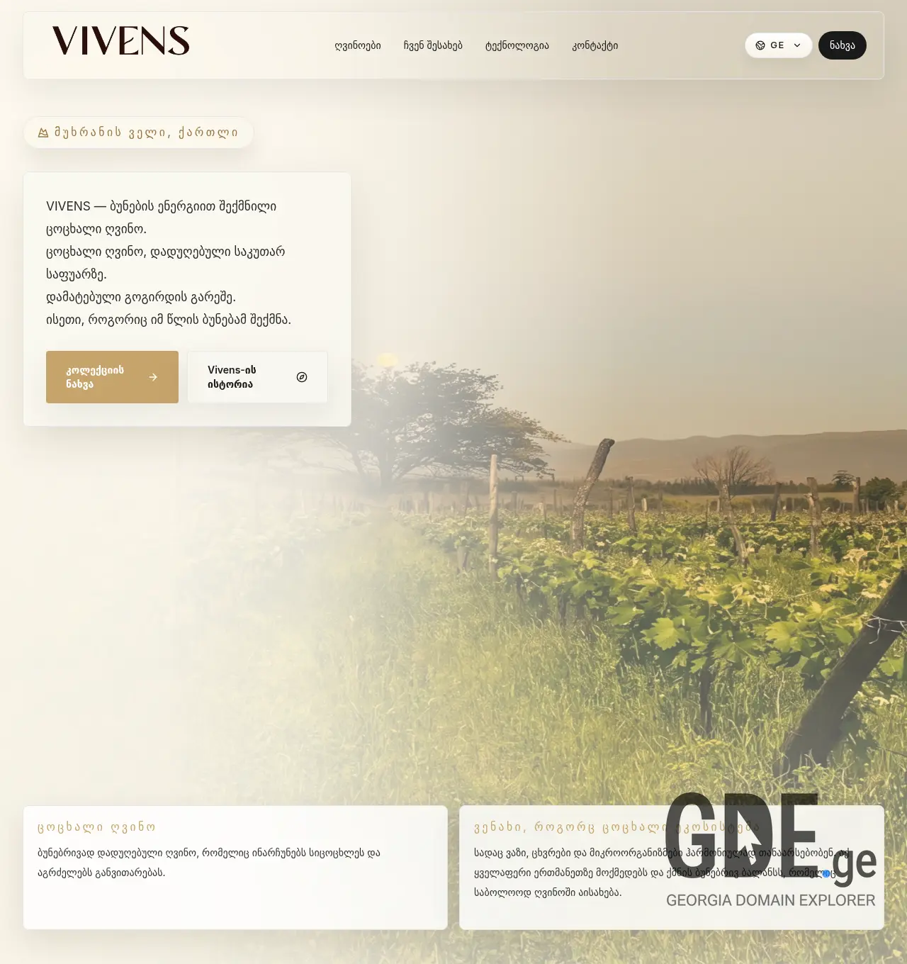 Screenshot of the site vivens.ge at 2026-05-03