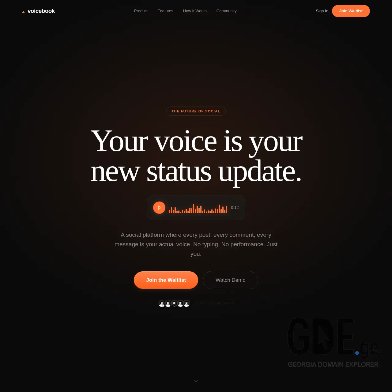 Screenshot of the site voicebook.ge at 2026-03-18