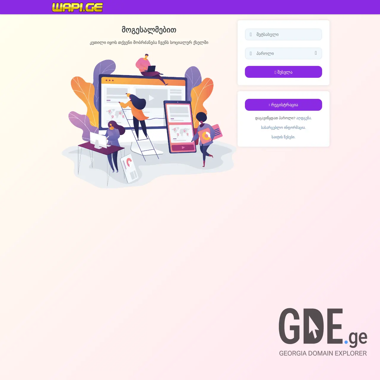 Screenshot of the site wapi.ge at 2026-03-27